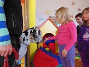 Bezpečný pes - kynologie